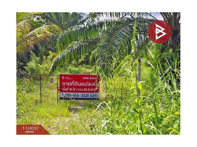 ขายที่ดินเปล่า เนื้อที่ 16 ไร่ 1 งาน 36.8 ตร.วา ท่าซัก นครศรีธรรมราช