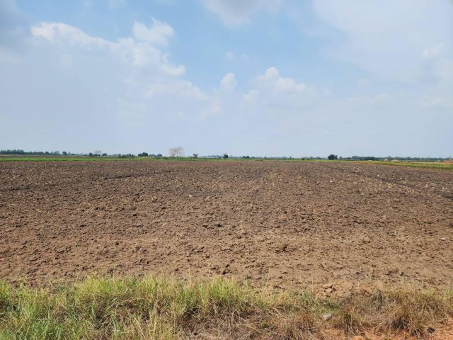 L1020 ขายที่นา 50 ไร่ หน้ากว้าง 291 เมตร พนมสารคาม ฉะเชิงเทรา