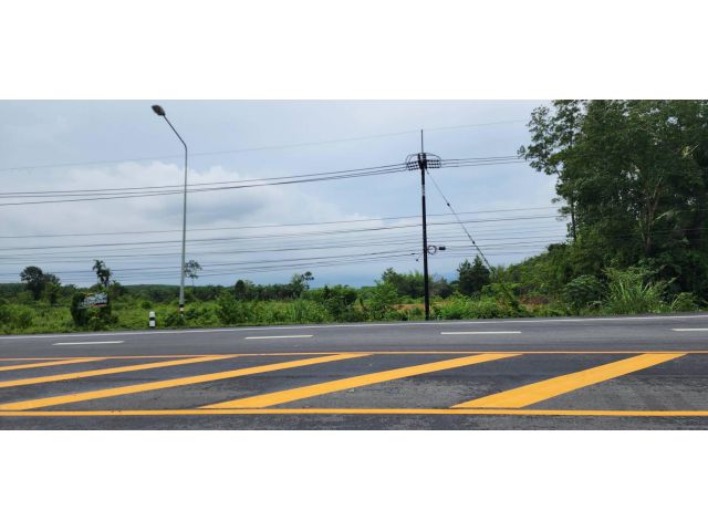 ขายที่ดิน 31 ไร่ ติดถนน 3157 ต.ช้างทูน อ.บ่อไร่ จ.ตราด