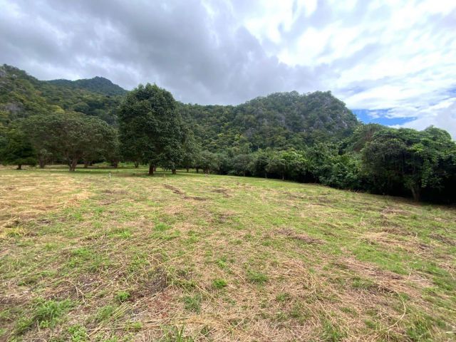 L1023 ขายที่ดินวิวภูเขา 2 ไร่ ปากช่อง นครราชสีมา