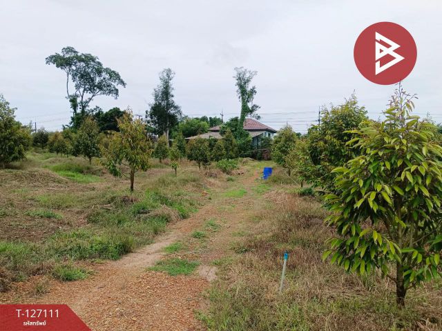 ขายที่ดิน ถ.สุขุมวิท เนื้อที่ 8 ไร่ 16.1 ตร.วา ตะกาง ตราด