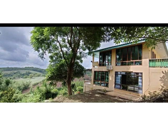 ขายบ้านพักตากอากาศบนเนินเขา อำเภอเขาค้อ จังหวัดเพชรบูรณ์ เนื้อที่