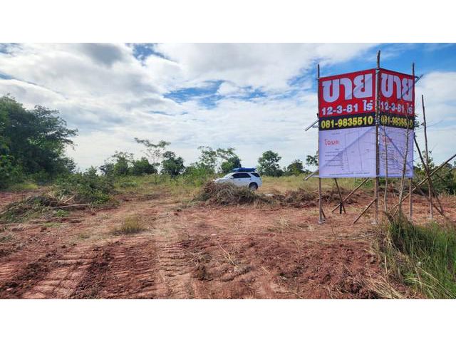 ขายที่ดินติดถนน มัญจาคีรี-แก้งคร้อ อำเภอโคกโพธิ์ไชย จังหวัดขอนแก่