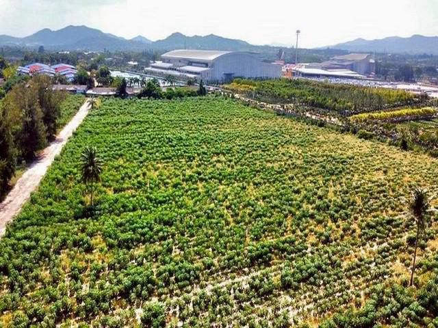 ขายที่ดินสวย กว่า 19ไร่ ที่ดินโซนพัทยา ติดสวนนงนุช ใกล้ทะเลจอมเที