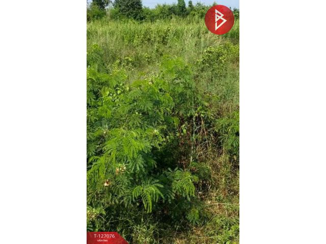 ขายที่ดิน เนื้อที่ 134 ตารางวา ต.บางเลน จ.นครปฐม