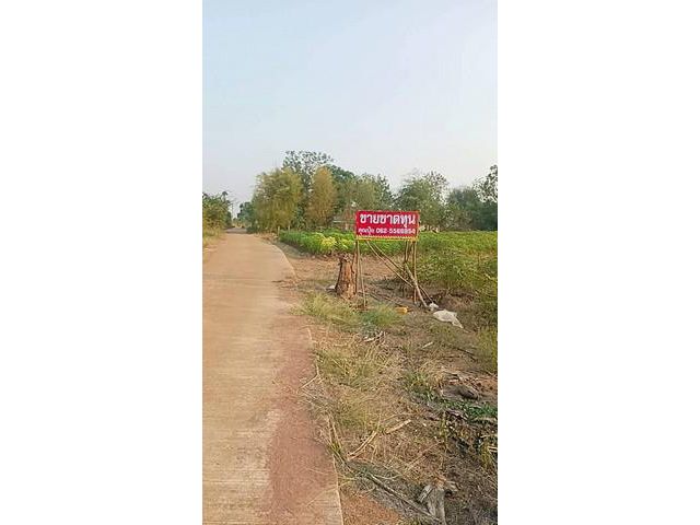 ขายที่ดินด่านมะขามเตี้ยติดทางสาธารณะวิวภูเขาราคาดีมาก