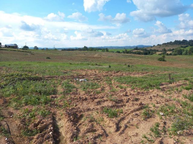 L1026 ที่ดินวิวภูเขาแบ่งขาย 45 ไร่ หน้ากว้าง 216 เมตร ปากช่อง นครราชสีมา