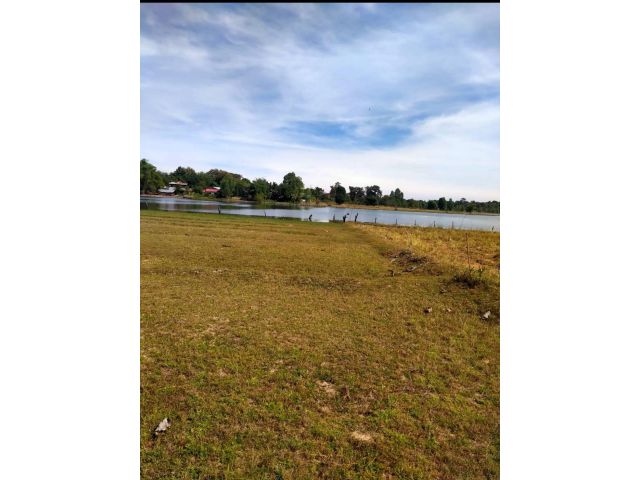 L1036 ขายที่ดิน 4 ไร่ สิริธร อุบลราชธานี