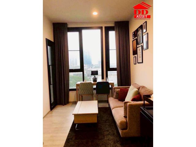 For rent condo XT Akamai Sukhumvit63 BTS เอกมัย XT เอกมัย สุขุมวิท 63 BTS เอกมัย