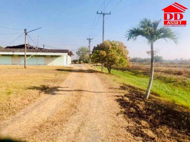 ขายที่ดินชลบุรี หนองหงส์ พานทอง ชลบุรี