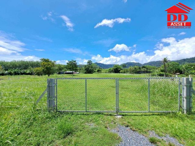 ขายที่ดิน ภูเก็ต อ.ถลาง บ้านควน ใกล้ที่ว่าการอำเภอถลาง