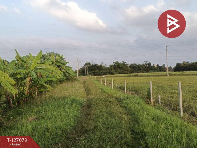 ขายที่ดิน เนื้อที่ 3 ไร่ 1 งาน 38 ตร.วา เขาย้อย เพชรบุรี