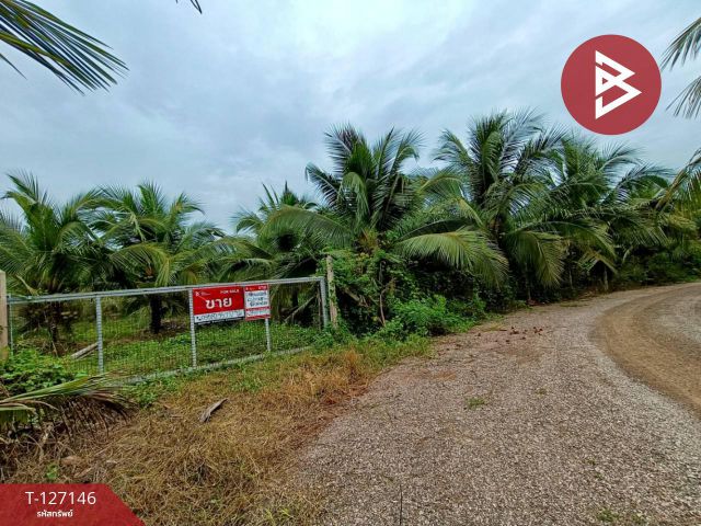 ขายที่ดินสวนมะพร้าว เนื้อที่ 6 ไร่ 1 งาน 81 ตารางวา ต.นางตะเคียน สมุทรสงคราม ติดถนนหลัก