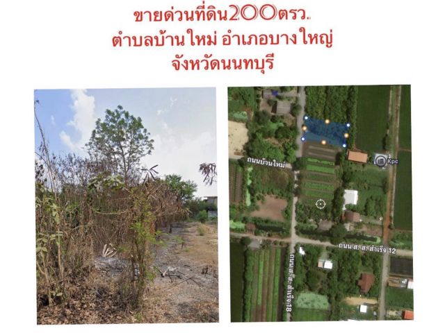 ขายที่ดิน200ตรว.เหมาะแก่การปลูกบ้าน ต.บ้านใหม่ อ.บางใหญ่ จ.นนทบุรี