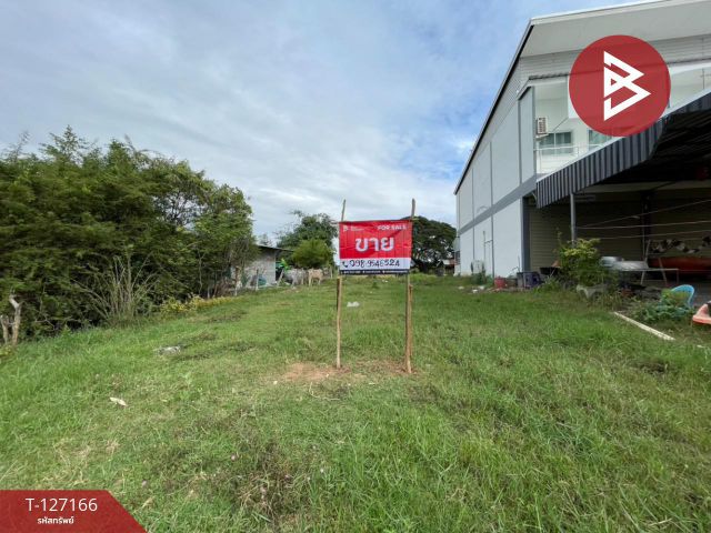 ขายที่ดิน เนื้อที่ 100 ตารางวา อ.โนนศิลา จ.ขอนแก่น ติดถนนมิตรภาพ ทำเลทอง