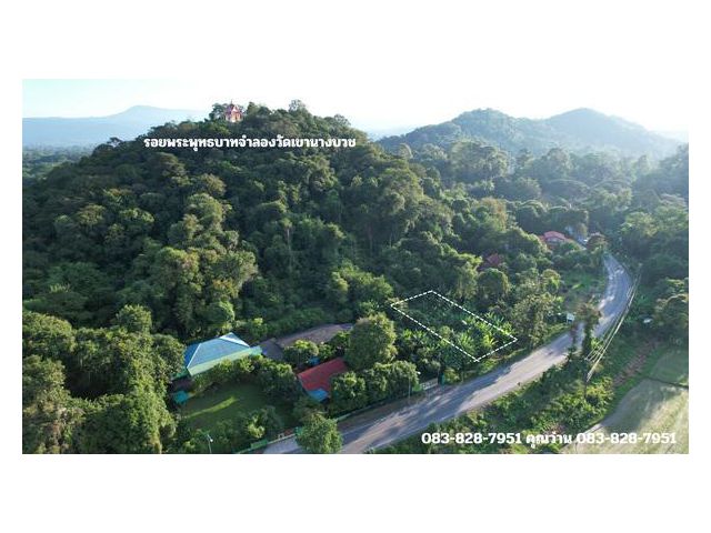 ขายที่ดินลาดเชิงเขา เนื้อที่ 142 ตารางวา ด้านหน้าติดถนนหลวง (นย.006) ต.สาริกา ขายถูกเพียง 950,000 บาทพร้อมโอน