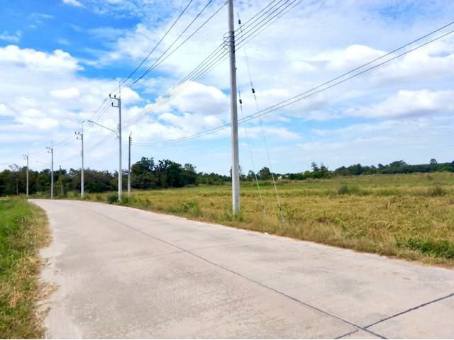 ขายที่ดินมาบไผ่บ้านบึงชลบุรี ขายที่ดินบ้านบึง 49-1-46 ไร่