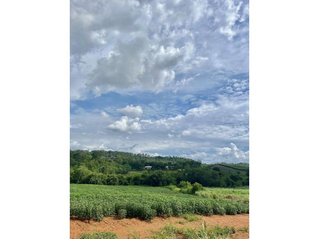 ขายที่ดินเขาใหญ่ ติดถนนลาดยาง ติดแม่น้ำ 10 ไร่ 49 ตารางวา ใกล้ตลาดน้ำเขาใหญ่ วิวสวย ต.วังกะทะ อ.ปากช่อง จ.นครราชสีมา