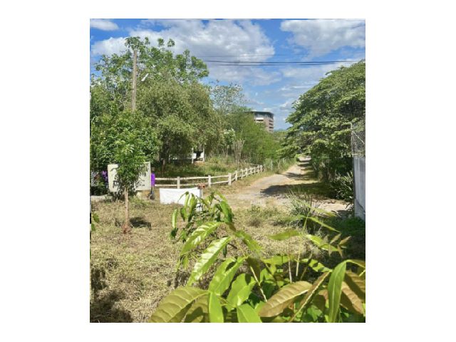 ขายที่ดินโฉนด เขาใหญ่ 104 ตรวา ใกล้ตัวเมืองปากช่อง ทำเลทอง วิวสวย บรรยากาศดี แหล่งโอโซน