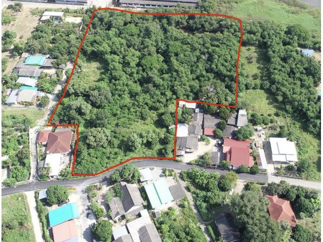 ที่ดินทุ่งเสี้ยว สันป่าตองเชียงใหม่  8-2-66 ไร่