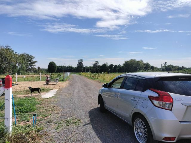 ️ที่ดินวิวภูเขาสวยๆใกล้สนามกอล์ฟ ราคาดีผ่อนชำระได้ค่ะ เริ่มต้นแปลงละ 399,000.-( โฉนด) ต.กลอนโด อ.ด่านมะขามเตี้ย