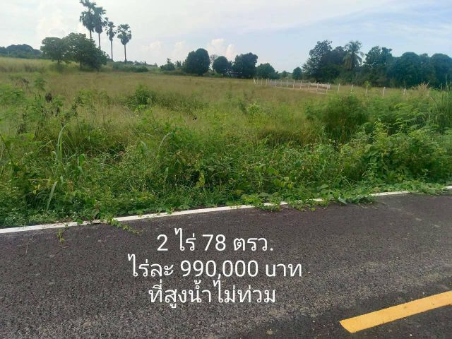 ที่ดินกำแพงแสน
