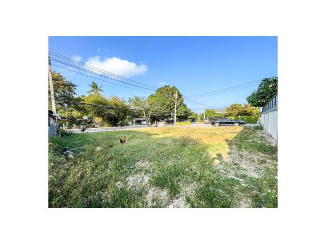 พื้นที่ดินพร้อมใช้งาน เหมาะสำหรับพัฒนาเป็นธุรกิจ โกดัง คาเฟ่ โชว์