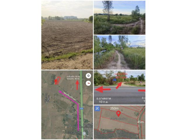 ขายที่นา 7 ไร่ 84 ตร.วา ติดคลองส่งน้ำ ต.หัวนาคำ อ.ยางตลาด