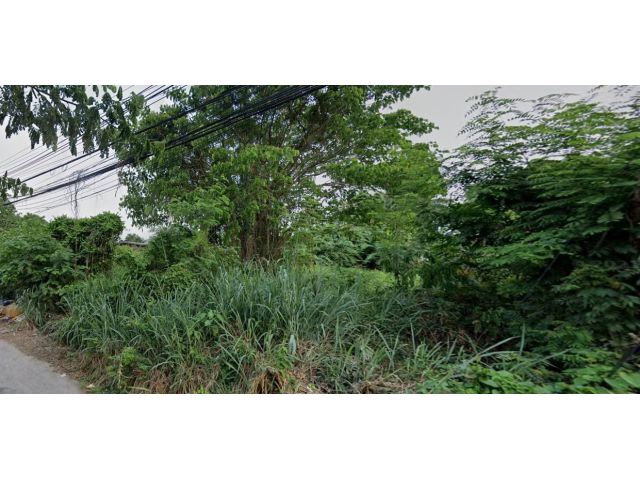 ที่ดินถนนวังสิงห์คำ 1 ไร่ 67 ตารางวา