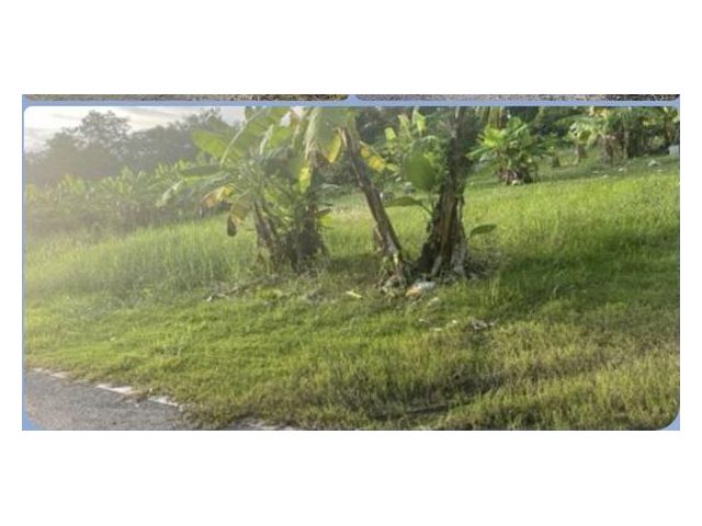 ขายที่ดิน ดอนเจริญ เมืองนครนายก 200 ตร.ว. ติดถนน มีน้ำ มีไฟ พร้อม ไลน์ korn6655