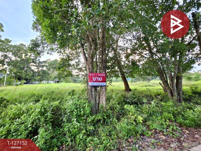 ขายที่ดิน เนื้อที่ 5 ไร่ 3 งาน 13.3 ตร.วา ตากแดด ชุมพร