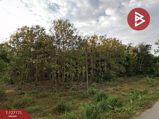 ขายที่ดินพร้อมสวนต้นสน เนื้อที่ 17 ไร่ 2 งาน 56.6 ตร.วา เชียงของ เชียงราย