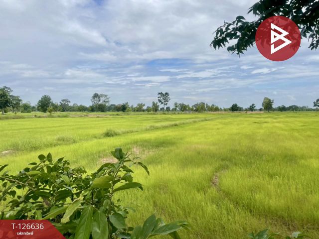 ขายที่ดิน เนื้อที่ 21 ไร่ 3 งาน 13 ตร.วา เฉลิมพระเกียรติ บุรีรัมย์