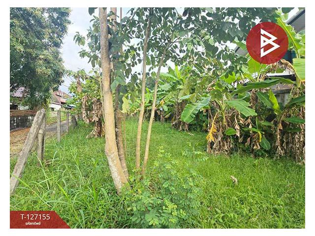 ขายที่ดิน เนื้อที่ 79 ตารางวา อ.ขลุง จันทบุรี