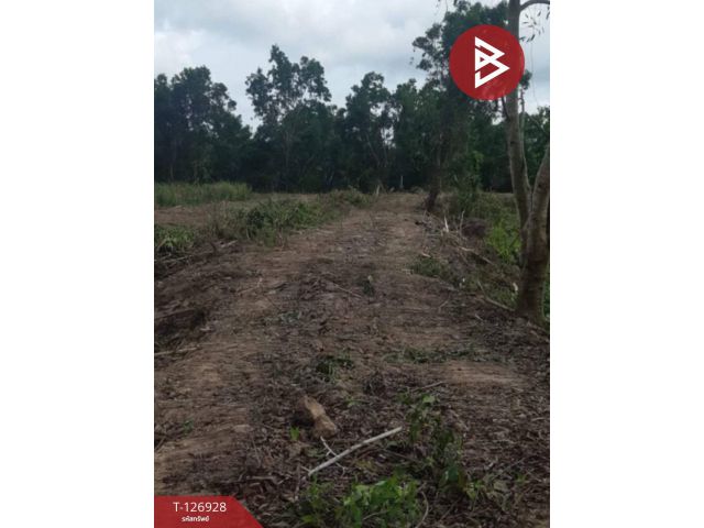 ขายที่ดิน เนื้อที่ 3 ไร่ 1 งาน 51 ตร.วา ท่าใหม่ จันทบุรี