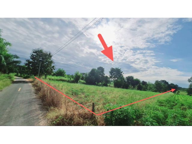 ที่ดิน 5 ไร่ 21 ตารางวาไร่ละ 300,000 บาท ยกแปลงร้าน 1,500,000 บาท