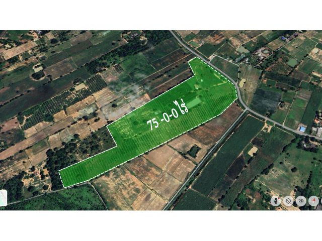 ขายที่ดินพร้อมบ้าน เนื้อที่ 75 ไร่ ทำสวนไผ่ซางหม่นอายุ 5 ปี เก็บเกี่ยวได้แล้ว