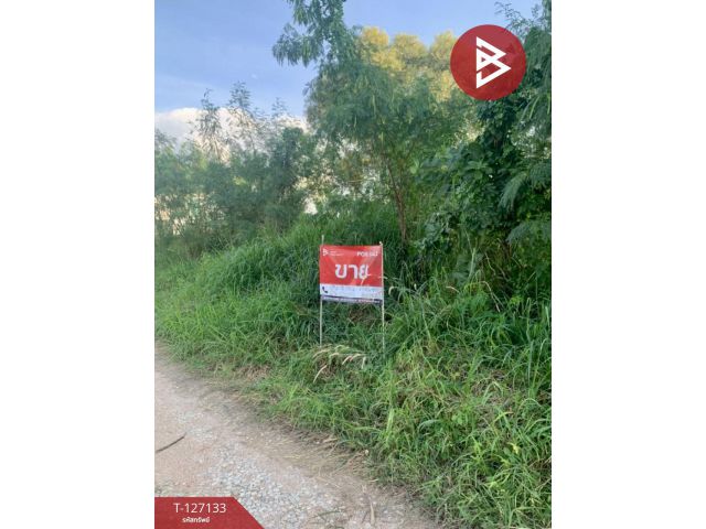 ขายที่ดิน เนื้อที่ 47 ตารางวา ซอยพรประภานิมิตร 32 บางละมุง ชลบุรี