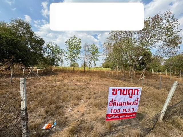 ขายที่ดินหนองสาหร่าย อำเภอปากช่อง จังหวัดนครราชสีมา