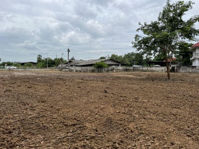 L1047 ขายที่ดินถมแล้ว 151 ตรว หน้ากว้าง 35 เมตร หนองแค สระบุรี