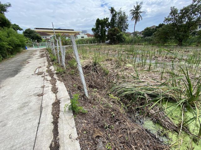 ที่ดิน 1 ไร่ 2 งาน สงบส่วนตัว เหมาะทำอพาร์ทเม้นท์, ทาวน์เฮ้าส์ หรือโกดังพร้อมออฟฟิศ ถ.บางใหญ่-บางคูลัด (ซ.อรวรรณอุทิศ, ใ