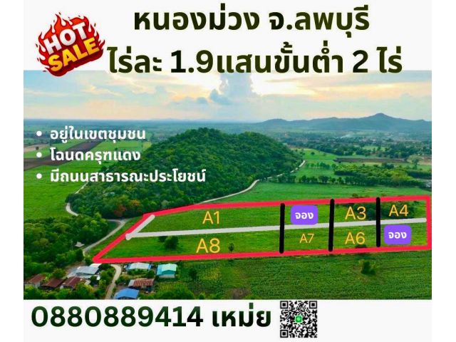 ที่ดิน หนองม่วง ลพบุรี