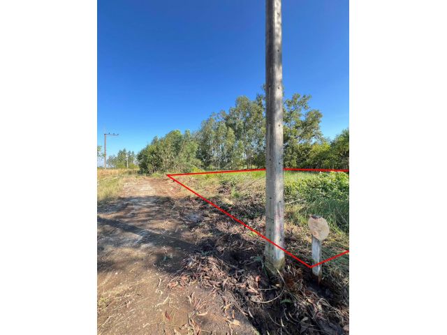 ขายถูกมากมี2แปลงค.11หนองเสือปทุมธานี100ตรว.260000ใกล้วัดป่าค.11 1.5กมรพ.หนองเสือ5กมบิ๊กซีโลตัส22กมน้ำไฟ300ม.เงินสดฟรีโอน