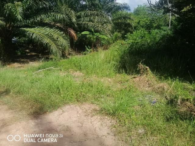 ขายที่ดินเปล่าติดถนนสร้างตนเอง 2 ใกล้มหาวิทยาลัยราชภัฏสุราษฎร์ธาน