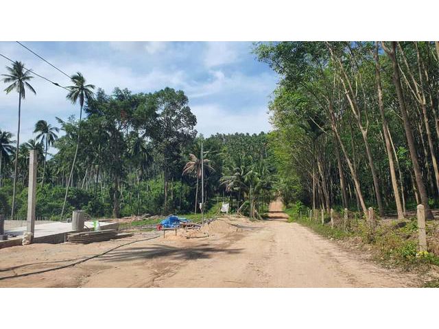 ขายที่ดินเกาะสมุย (หน้าเมือง) 1-0-30 ไร่ สุราษฎร์ธานี