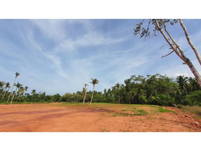 ขายที่ดินริมน้ำ แปลงละ 1 ไร่ ณ คลองร้อยสาย สุราษฎร์ธานี