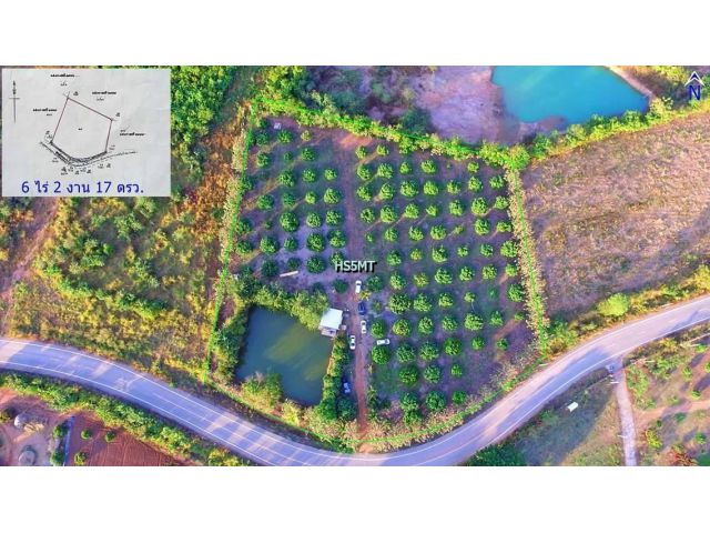 ที่ดินเปล่า ลำไยร้อยกว่าต้น มีต้นสักล้อมรอบ ใกล้สวนอริยา เนื้อที่ 6 ไร่ 1 งาน 15.9 ตร.ว. หน้ากว้าง 124 เมตร ลึก 100 เมตร