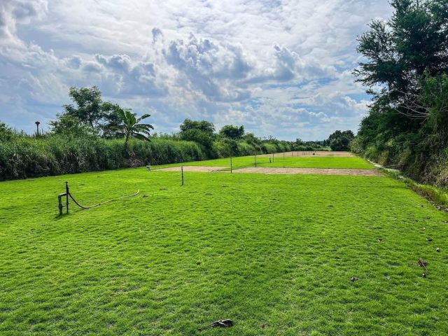 ด่วนที่สุด! ที่ดินราคาถูก คลอง12 หนองเสือ ปทุมธานี รังสิต-นครนายก แปลงสวย ราคาพิเศษที่สุดในย่านนี้ ใกล้ถนนใหญ่ บรรยากาศดี ในชุมชน