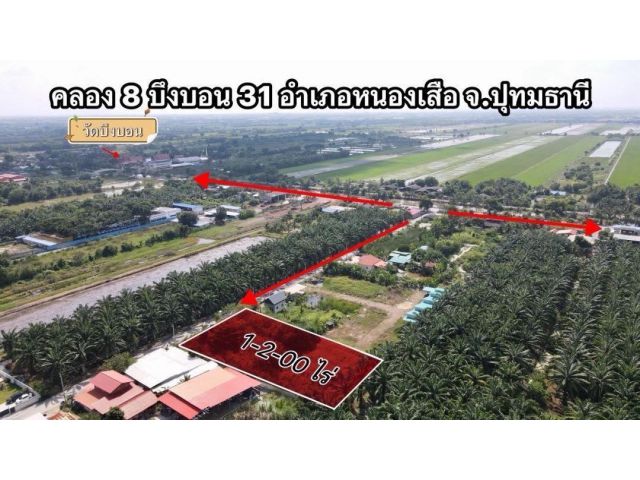 ห้ามพลาด ที่ดินสวยทำเลดี คลอง 8 หนองเสือ ปทุมธานี  ขายที่ดิน 1 ไร่กว่า ถมแล้ว ทำเลดี ใกล้รังสิต คลอง 7 – คลอง 8 – ถนนเลียบคลอง – ถนนรังสิตนค