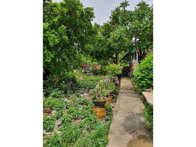 ขายที่ดินเปล่า หลังสำนักงานเทศบาลตำบลแหลมฟ้าผ่า สมุทรปราการ 1-2-3